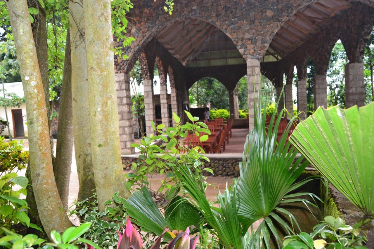 Serene Mountain Lodge Marangu Εξωτερικό φωτογραφία