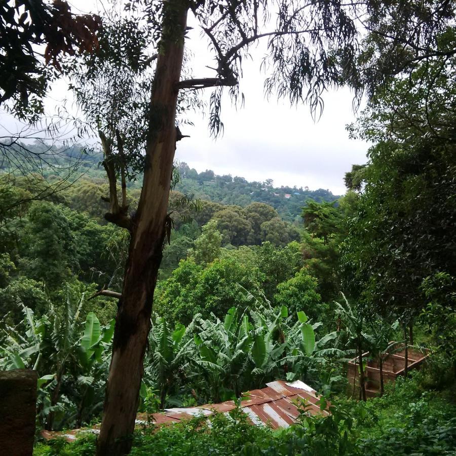 Serene Mountain Lodge Marangu Εξωτερικό φωτογραφία